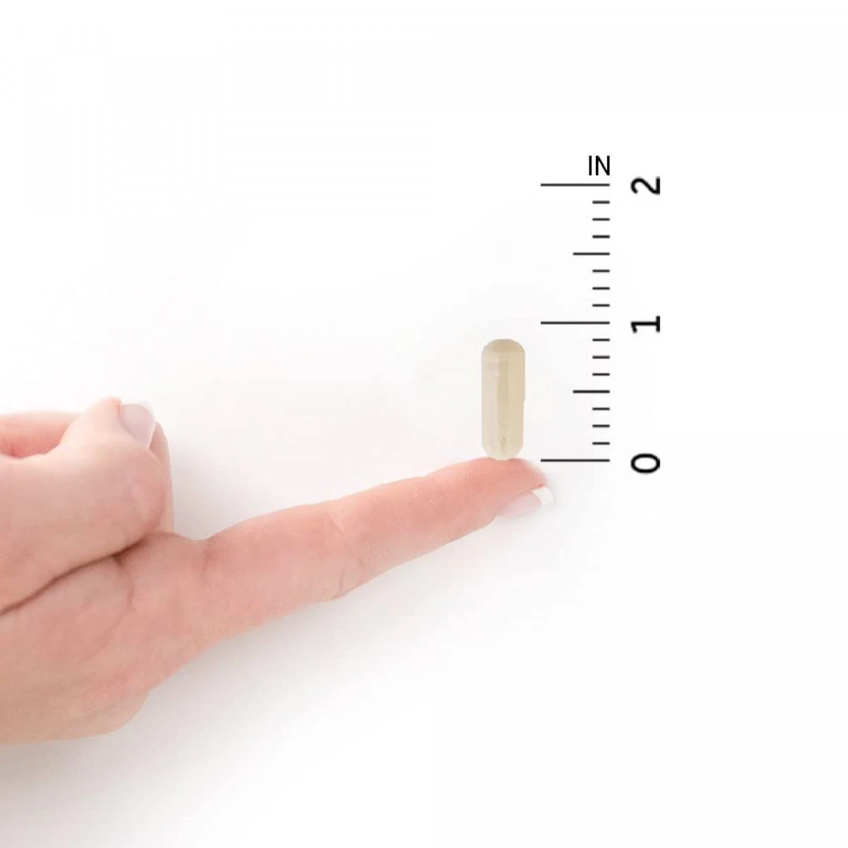 Garden Of Life Dr. Formulated Probiotics Digestive Stress Daily Care, 30ct 2 Garden Of Life Dr. Formulated Probiotics Digestive Stress Daily Care, 30ct - Image 2